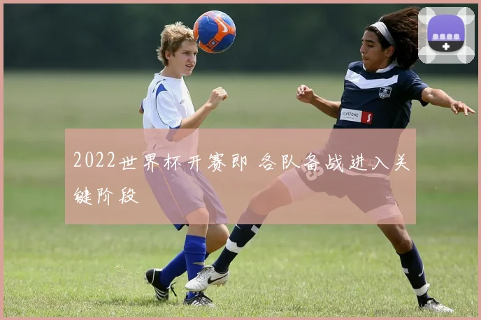 2022世界杯开赛即 各队备战进入关键阶段