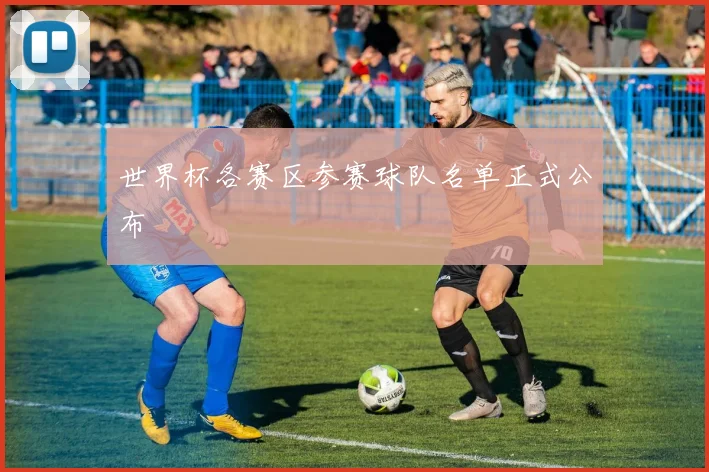 世界杯各赛区参赛球队名单正式公布