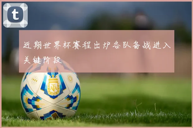 近期世界杯赛程出炉各队备战进入关键阶段